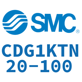 Rodless trunnion type standard cylinder