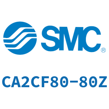 CA2CF80 Single earring type standard cylinder